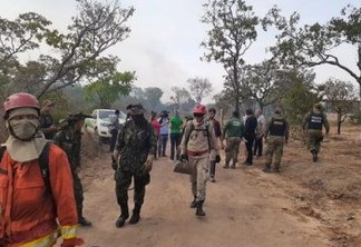 Incêndio de grandes proporções atinge área de mata no Pará