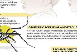 Zika vírus causa necrose cerebral - alerta sociedade brasileira de neurologia Psiquiatria Infantil