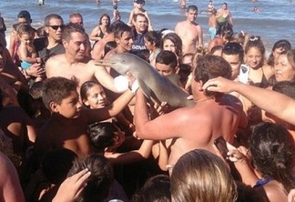 Multidão de banhistas fazem selfies com golfinho que acaba morrendo desidratado