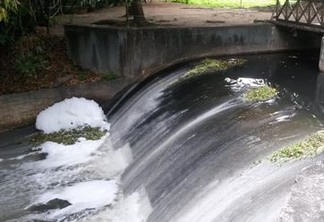 MAU CHEIRO - Esgoto contamina trecho do Rio Jaguaribe que passa pelo Jardim Botânico