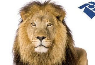 IMPOSTO DE RENDA: Descubra quais as principais novidades e fuja do leão