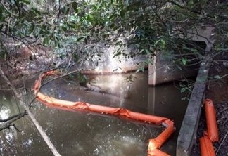 EM ABREU E LIMA: vazamento de óleo em refinaria atinge manguezal