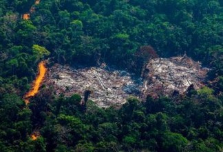 Desmatamento na Amazônia cresce 9,5% e chega a valor mais alto desde 2008