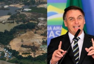 GOVERNO BOLSONARO: Planalto segurou dados sobre desmatamento para depois do COP26