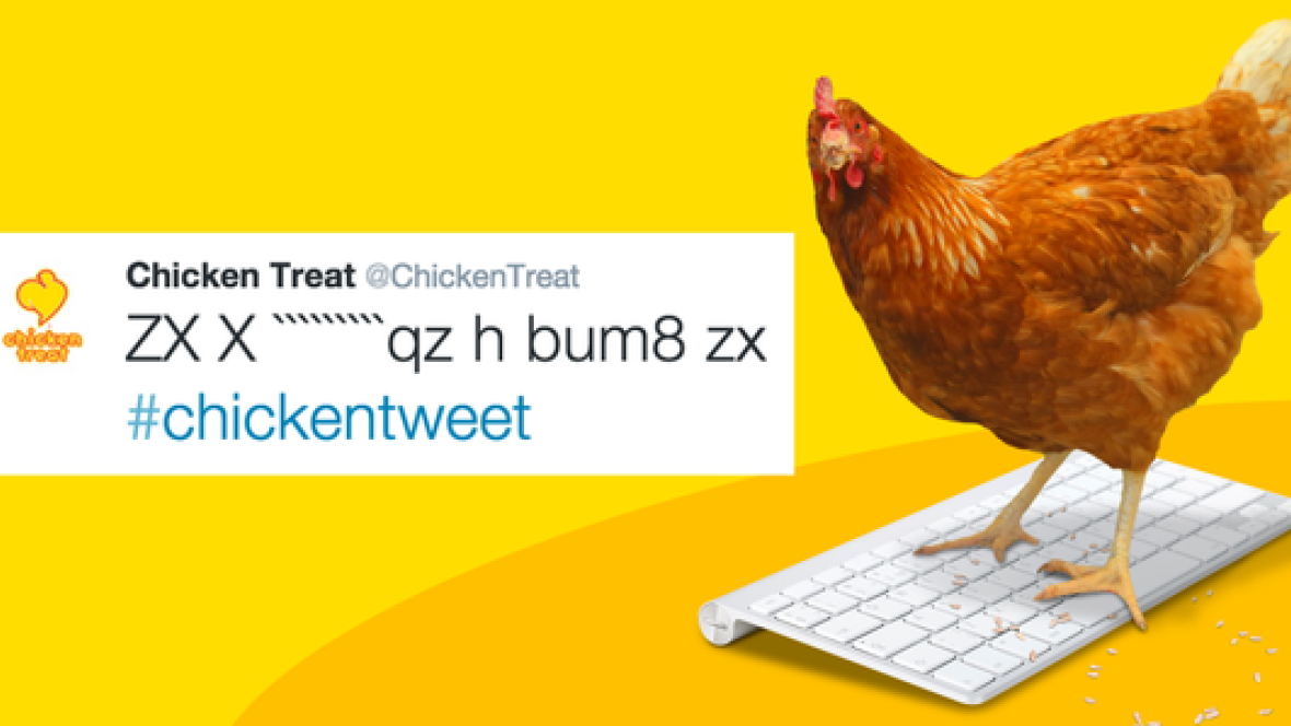 betty-the-tweeting-chicken