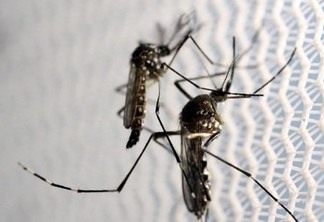 Governo marca nova mobilização nacional contra o Aedes Aegypti