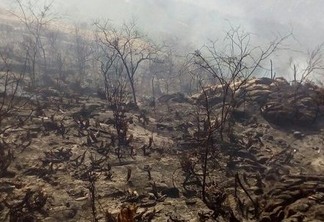 PICO DO JABRE: Incêndio já dura três dias e segue sem previsão de acabar