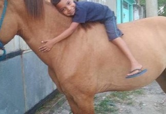INUSITADO - Ladrão devolve cavalo roubado após ver post sobre sofrimento de criança