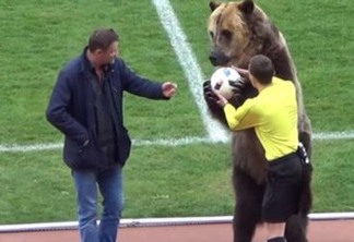 VEJA VÍDEO: Urso chama atenção em jogo na Rússia e pode participar da Copa