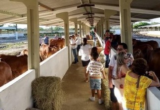 Governo do Estado abre exposição de animais em Campina Grande neste domingo