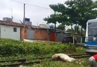 Criança é atropelada por trem enquanto andava a cavalo em Várzea Nova - VEJA VÍDEO
