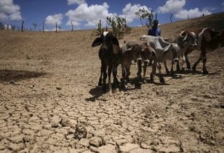 Pesquisador prevê uma década sem seca rigorosa no Sertão