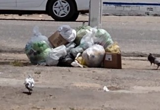 Prefeitura firma contrato de 167 dias no valor de R$ 620 mil para a coleta emergencial do lixo 