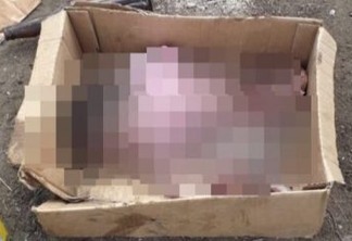 SUSPEITA DE INFANTICÍDIO: Bebê é encontrado morto dentro de caixa em CG