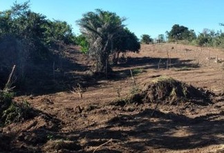 Polícia Militar realização ações de combate ao crime de desmatamento na Paraíba