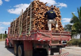 Caminhão que transportava madeira ilegal é apreendido pela PRF na Paraíba