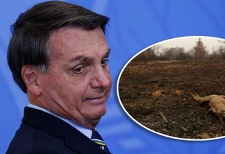 Bolsonaro minimiza incêndios na Amazônia e Pantanal: 'Críticas desproporcionais'