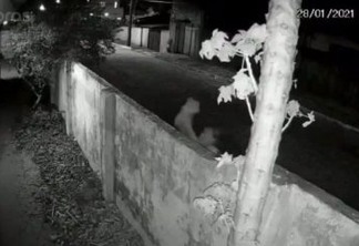 Polícia Civil localiza mulher que arremessou gato em casa com pitbull, em João Pessoa