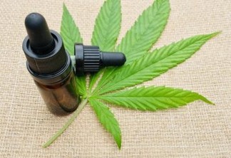 Cannabis pode ajudar pacientes com casos graves da Covid-19, revela estudo