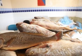17 TONELADAS A 8 MIL FAMÍLIAS: Prefeitura de Cabedelo entrega peixes para a Semana Santa a famílias em vulnerabilidade social
