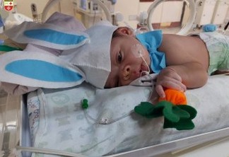 UTI Neonatal do Hospital Edson Ramalho surpreende familiares com bebês em fantasias de coelhinho de Páscoa