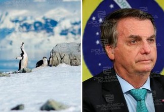 Bolsonaro não cansa de passar vergonha e vira piada ao dizer que Antártica fica no Brasil - VEJA VÍDEO