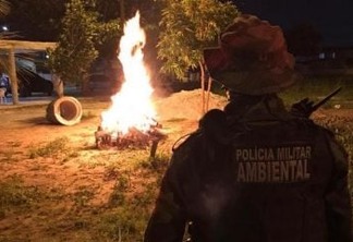 Polícia Militar recebe mais de 700 denúncias durante véspera de São João na Paraíba