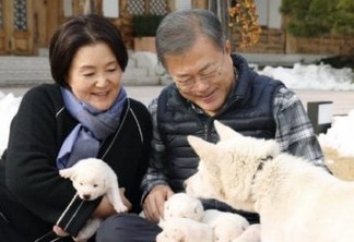 Presidente sul-coreano Moon Jae-in e primeira-dama Kim Jeong-sook brincam com cachorros em foto de 2018 — Foto: Cortesia/Presidência da Coreia do Sul