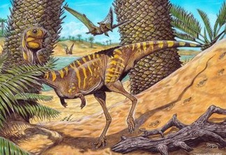 Museu Nacional anuncia descoberta de nova espécie de dinossauro brasileiro, o Berthasaura leopoldinae