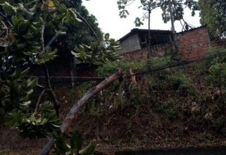 ATENÇÃO MOTORISTAS: Queda de árvore causa fechamento na ladeira Mangabeira-Valentina, em João Pessoa