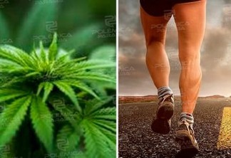 EFEITO TERAPÊUTICO E ANALGÉSICO: uso da cannabis entre esportistas tem crescido e se popularizado - ENTENDA