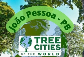 João Pessoa recebe título de 'Cidade Árvore' graças a atuação na área ambiental; cidade é a única capital do Nordeste