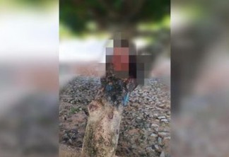 SURREAL: Mulher é decapitada e tem cabeça colocada em árvore na região de Santa Rita