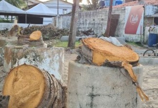Moradores denunciam grave crime ambiental na Praia do Poço