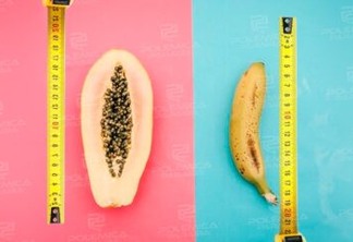 GRANDE OU PEQUENO?: estudo revela que o tamanho do pênis e da vulva importa na hora do sexo
