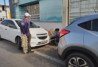 Centro Cirúrgico de animais de rua realiza 100 castrações no primeiro mês de funcionamento