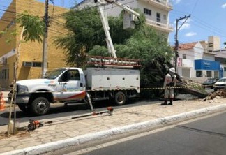 Prefeitura, Defesa Civil, órgãos trânsito e Energisa trabalham em conjunto para remover, com segurança, árvore que caiu no centro de Patos
