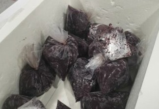 Receita Federal apreende 6kg de cocaína escondida em sacos de açaí em aeroporto Pernambuco