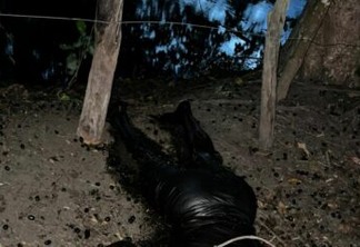 Corpo em avançado estado de decomposição é encontrado em matagal, em Santa Rita