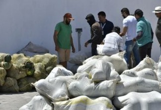 Governo da Paraíba distribui mais 40 toneladas de alimentos para famílias em situação de insegurança alimentar no Sertão