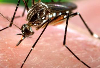 Colômbia anuncia fim da epidemia de zika