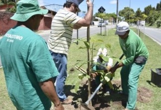 Prefeitura plantará 20 mil novas árvores em João Pessoa até dezembro