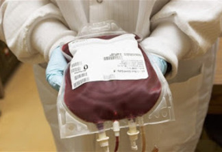 Brasil desperdiça 18 milhões de litros de sangue ao ano por preconceito
