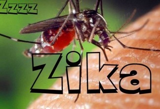 Conheça a história do Zika vírus  suspeito número 1 do surto de microcefalia no nordeste