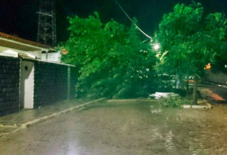 Chuva de granizo em Juazeirinho derrubou árvores e assustou população