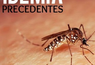 OMS pode declarar emergência mundial pelo vírus zika