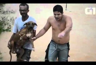 Homens se arriscam em correnteza e salvam cachorros de enchente - VEJA VÍDEO