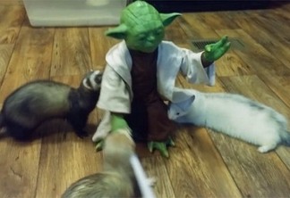Cena que mostra personagem do filme “Star Wars” lutando contra três animais gera milhões de acesso na internet - VEJA VÍDEO