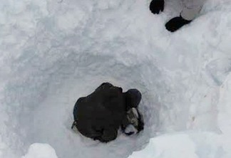 Homem é achado vivo 6 dias após sumir em avalanche no Himalaia