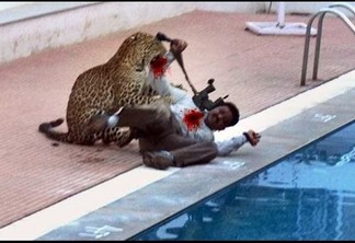 Leopardo invade escola e fere cinco pessoas na Índia - VEJA VÍDEO